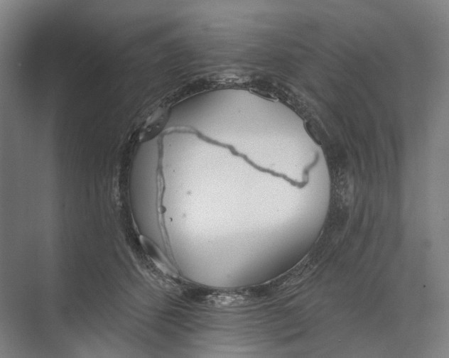 X0000073990512200609181746