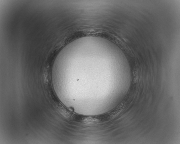 X0000073990515200609181746