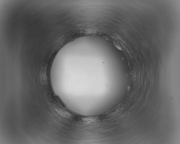 X0000073990516200609181746