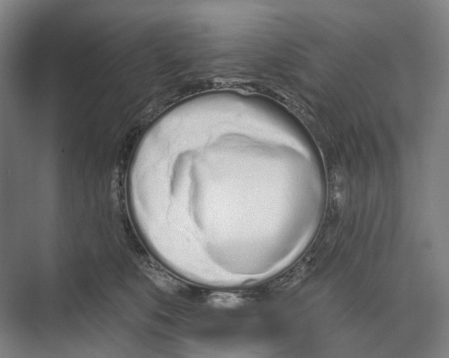 X0000073990519200609181746