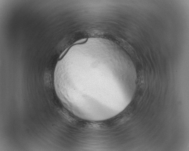 X0000073990523200609181745