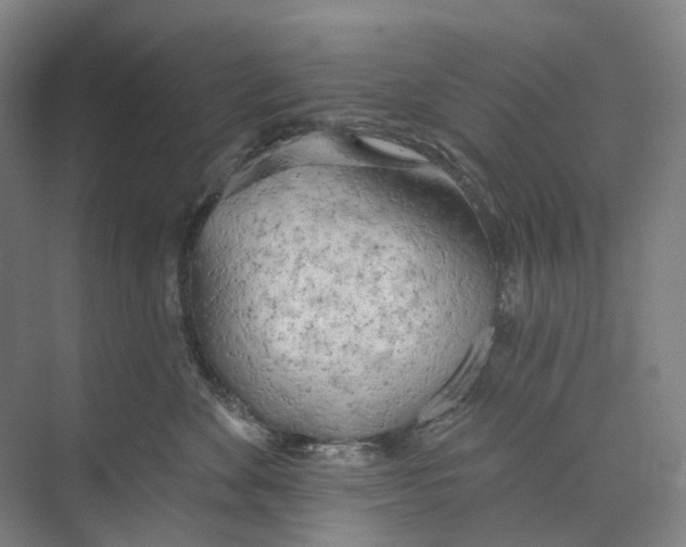 X0000073990524200609181745