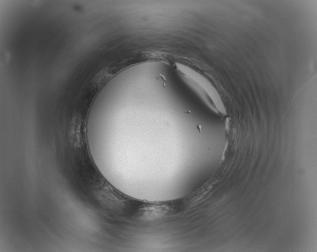 X0000073990525200609181745