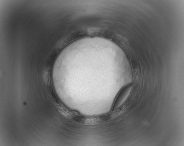 X0000073990527200609181745