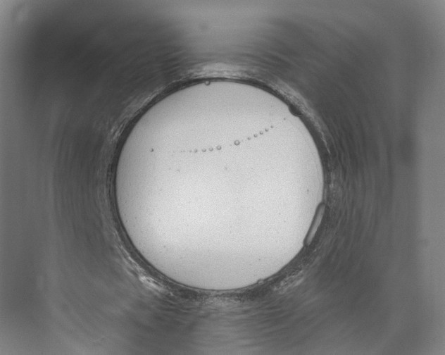 X0000073990529200609181745