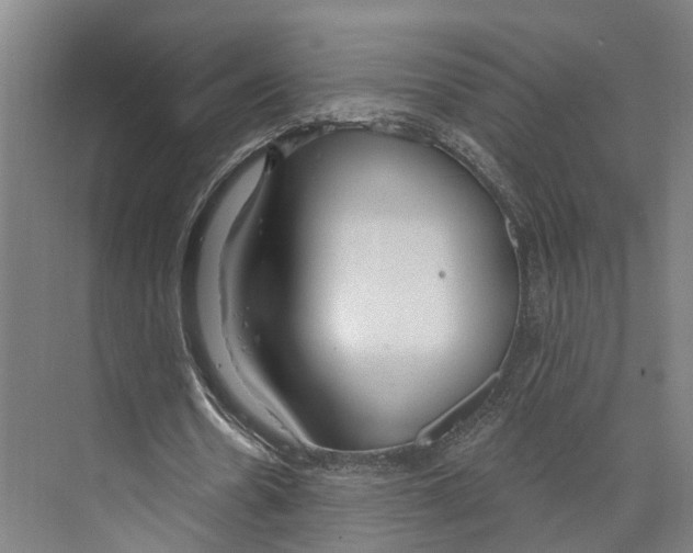 X0000073990530200609181745