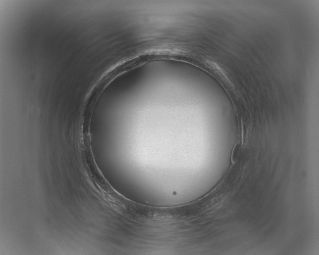 X0000073990531200609181745