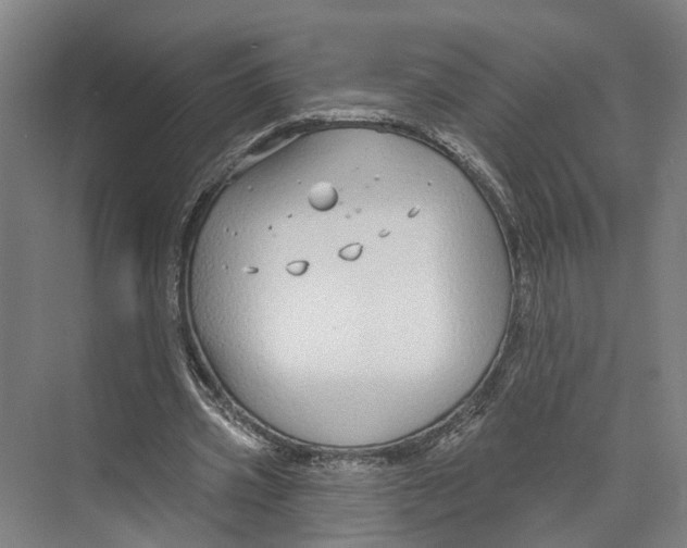 X0000073990533200609181745