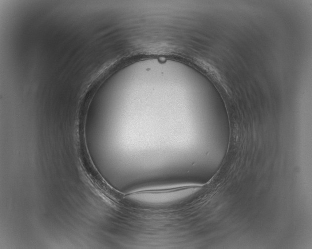 X0000073990535200609181745