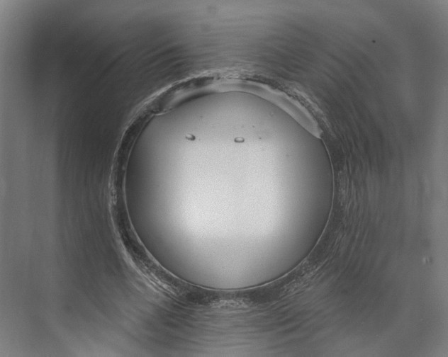 X0000073990536200609181745