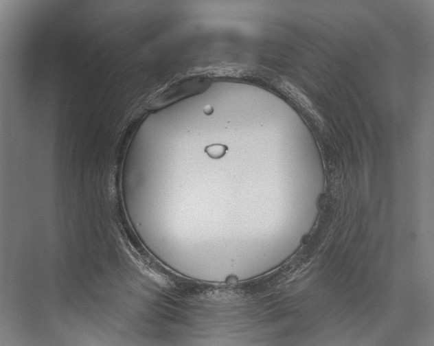 X0000073990537200609181745