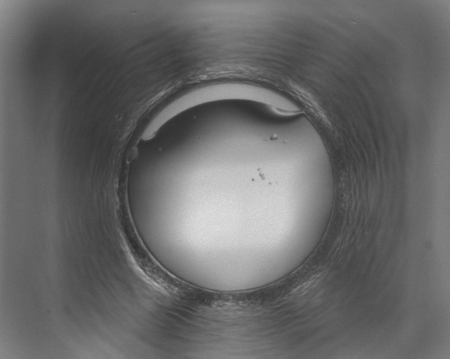 X0000073990538200609181745