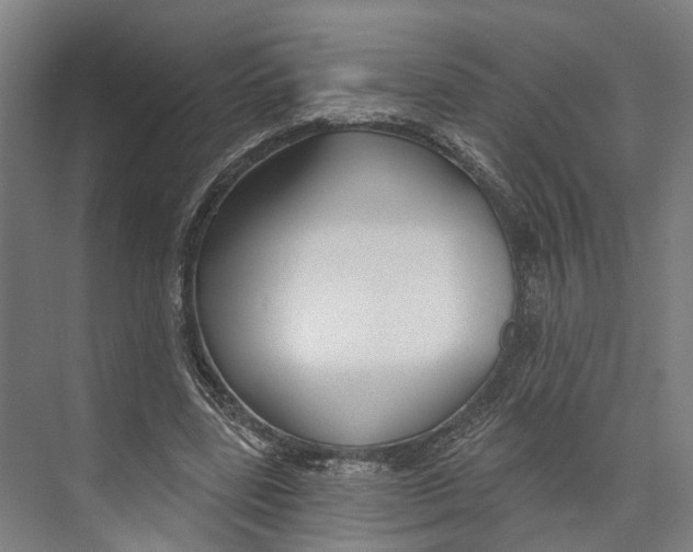 X0000073990539200609181745