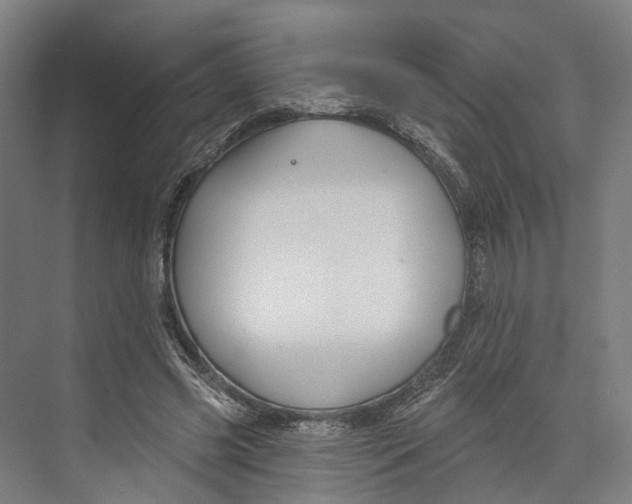 X0000073990541200609181745