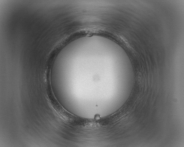 X0000073990543200609181745