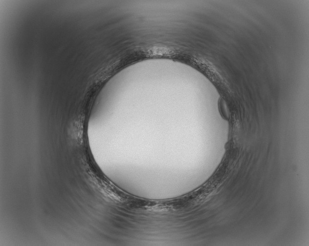 X0000073990545200609181745