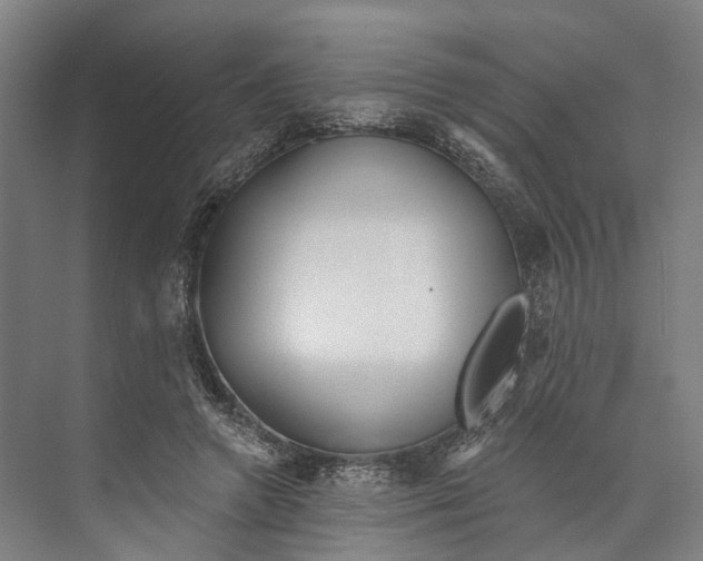 X0000073990546200609181745