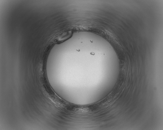 X0000073990548200609181745