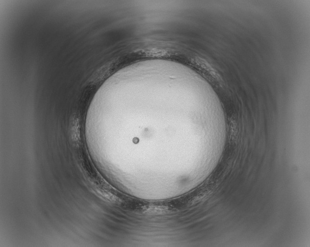 X0000073990549200609181745