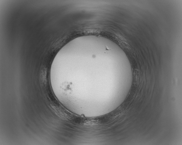 X0000073990550200609181745