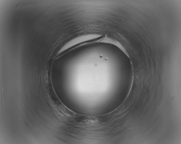 X0000073990552200609181745