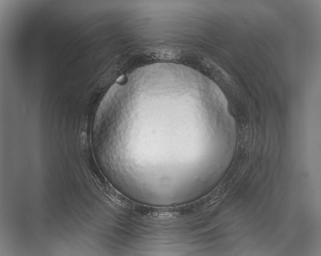 X0000073990553200609181745