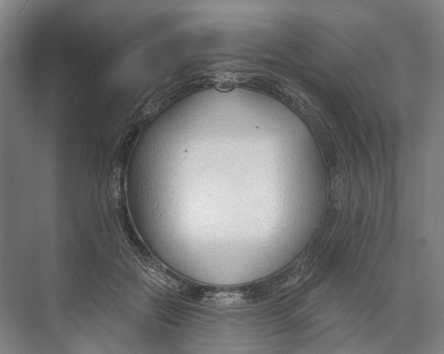 X0000073990554200609181745