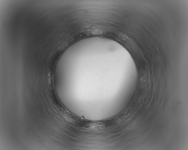 X0000073990555200609181745