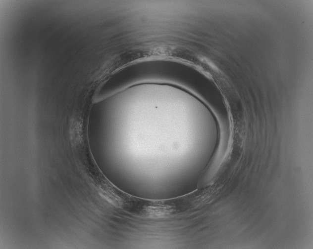 X0000073990556200609181745