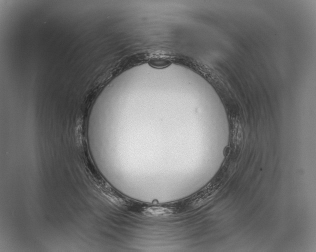 X0000073990557200609181745