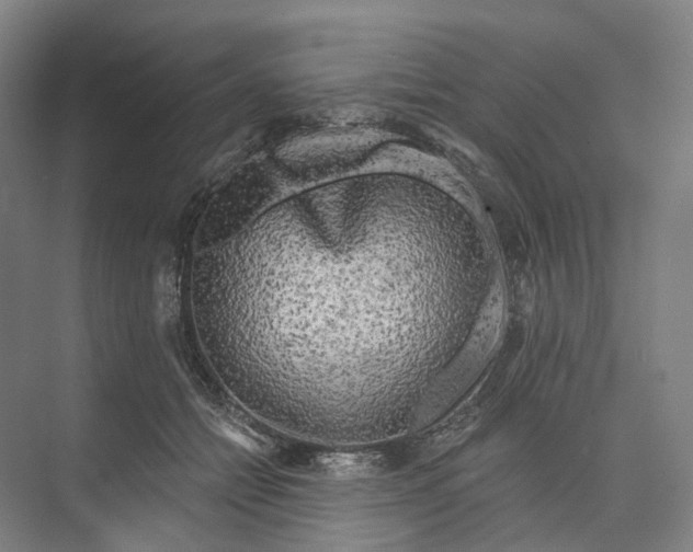 X0000073990558200609181745