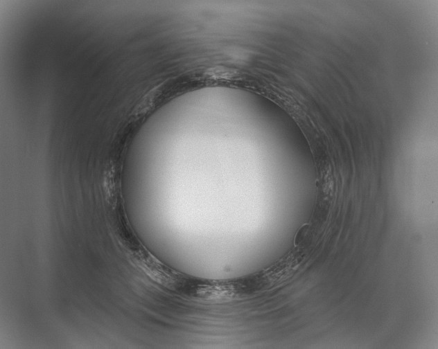 X0000073990559200609181745