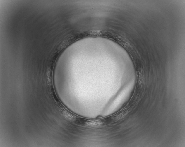 X0000073990561200609181745