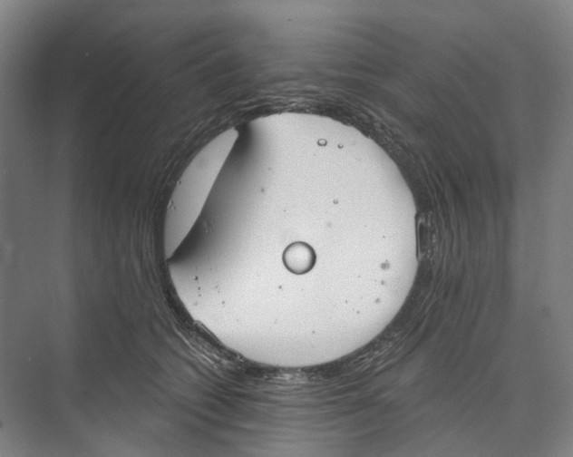 X0000073990562200609181745