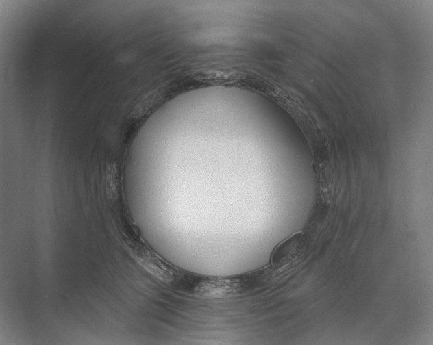 X0000073990563200609181745