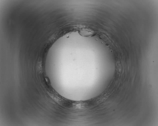 X0000073990564200609181745