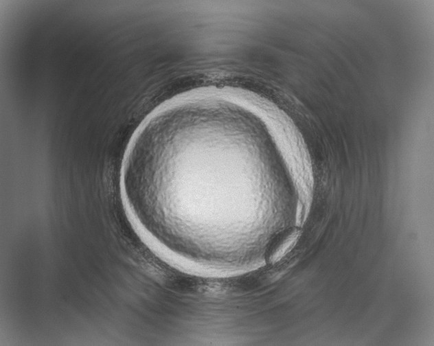 X0000073990565200609181745