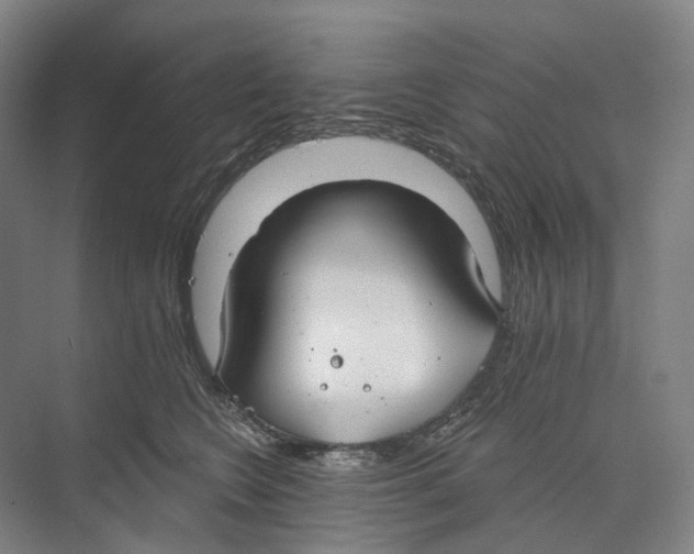 X0000073990566200609181745