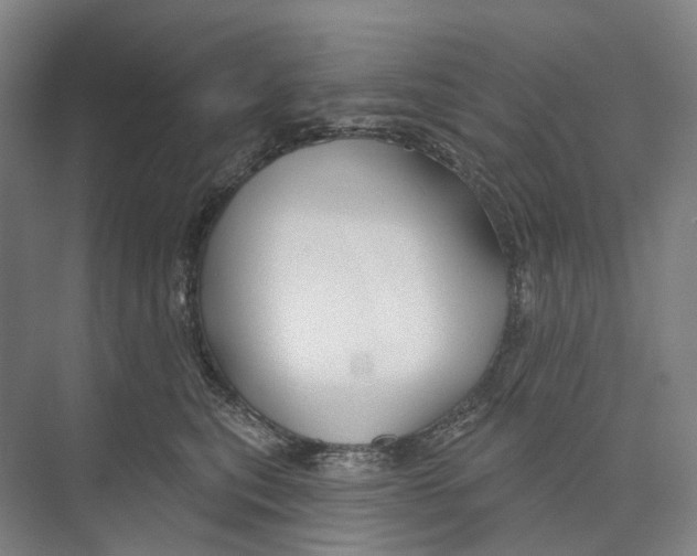 X0000073990567200609181745