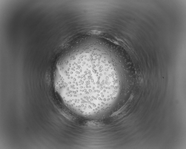 X0000073990568200609181745