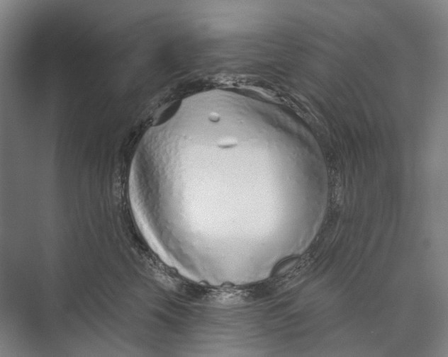 X0000073990569200609181745