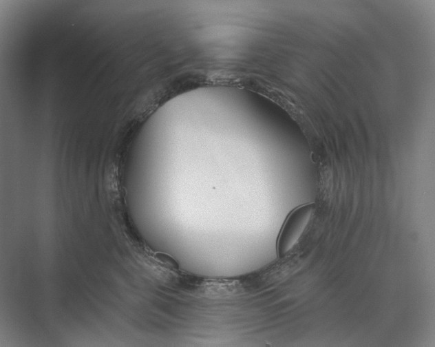 X0000073990571200609181745