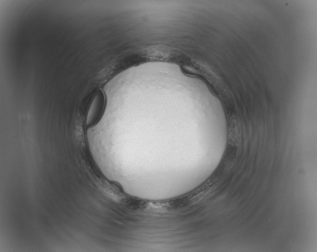 X0000073990573200609181745