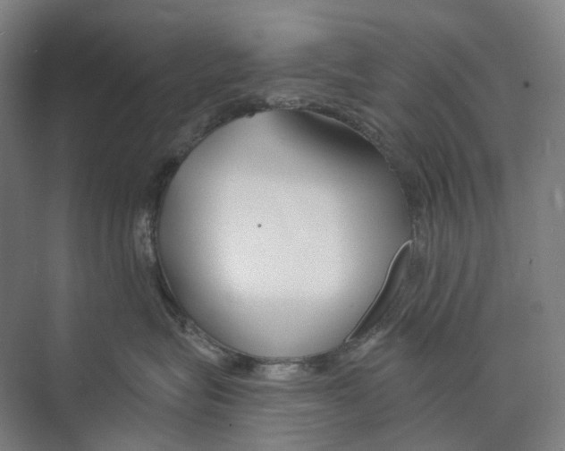 X0000073990575200609181745