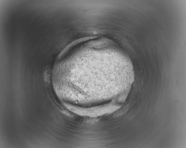 X0000073990576200609181745