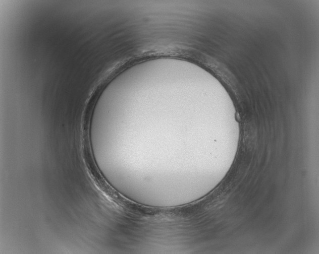 X0000073990578200609181745