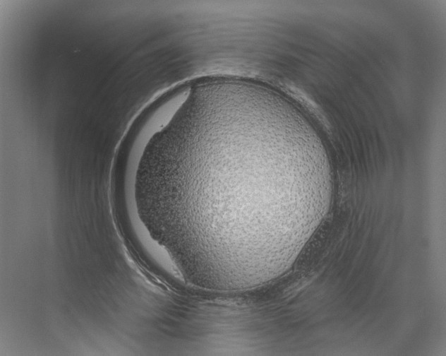 X0000073990580200609181745