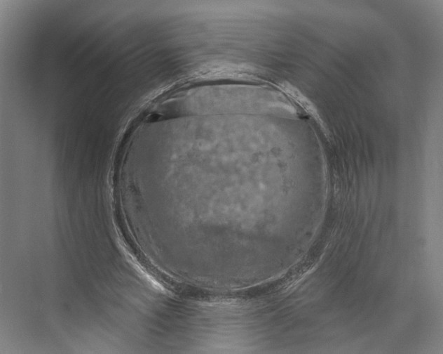 X0000073990581200609181744