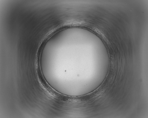 X0000073990582200609181744