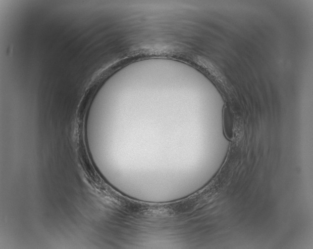 X0000073990583200609181744